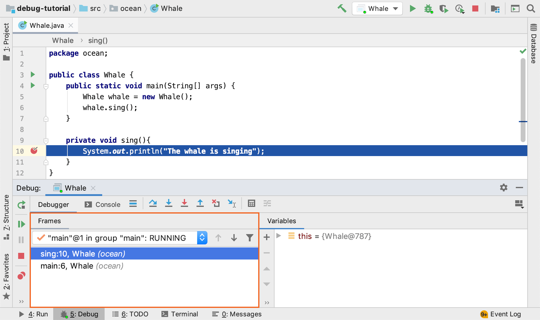 keys for debuging in mac java